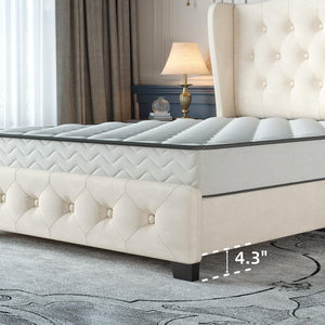Queen Velvet Wingback Bed Frame with Tufted Headboard