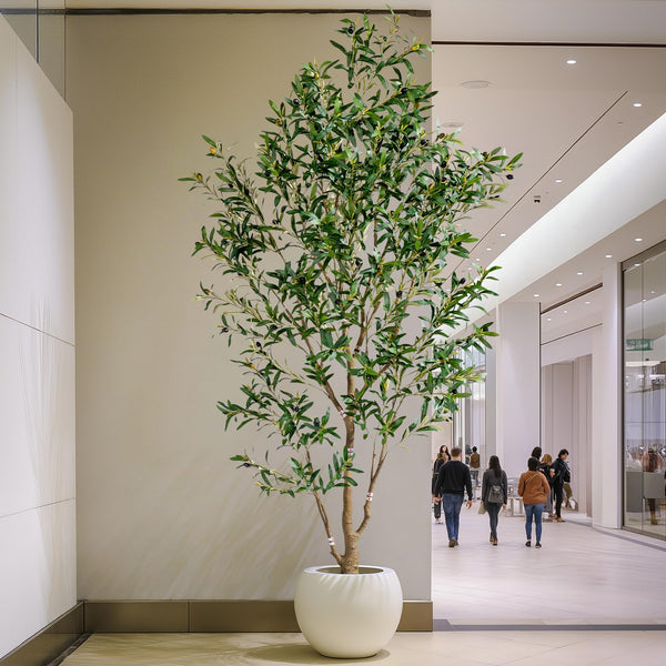 Artificial Olive Tree Indoor with White Pot & Moss