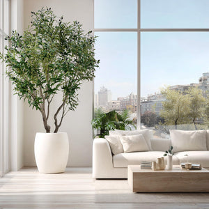 Artificial Olive Tree with Natural Trunk & Lifelike Olives