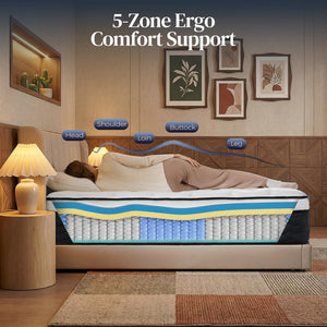 Queen Hybrid Mattress – Medium Firm Pocket Coil & Memory Foam, 12 or 14 Inch