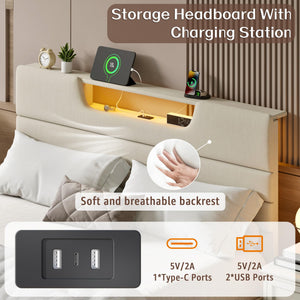 Queen Platform Bed with LED Lights & Charging Station