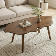 Leaf-Shape Coffee Table