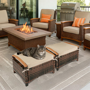 Outdoor Wicker Ottoman Set of 2 with Removable Cushions