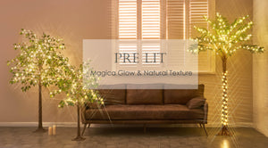 Pre-Lit Ficus Tree with LED Fairy Lights