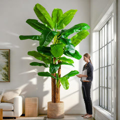 Large Artificial Banana Tree — Tall Faux Tropical Plant for Indoor & Outdoor Decor