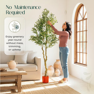 6ft Artificial Olive Tree with Weighted Pot