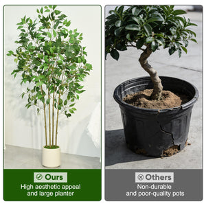 6 ft Artificial Ficus Tree with White Planter