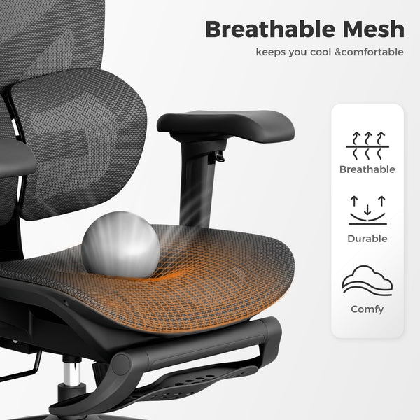 Ergonomic Mesh Office Chair with Lumbar Support & Footrest