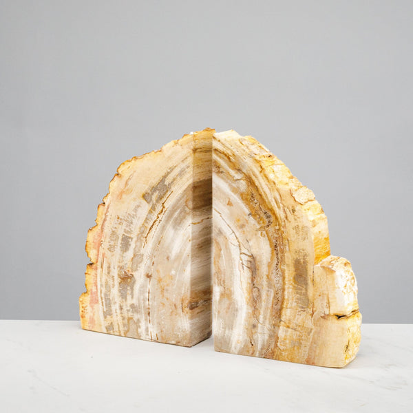Petrified Wood Bookends Set
