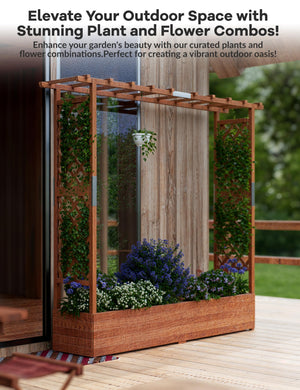 Raised Garden Bed with Trellis, Hanging Roof & Drainage Holes