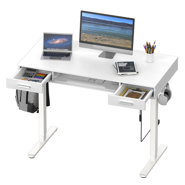 48-Inch Electric Height Adjustable Standing Desk with Keyboard Tray & 2 Drawers