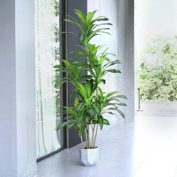 Tall Artificial Dracaena Tree – Indoor Fake Plant Decor