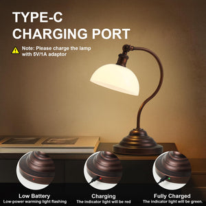 Cordless LED Table Lamp with Swing Arm & Plastic Shade