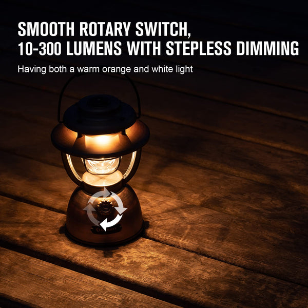 Rechargeable LED Camping Lantern with Dual Light Sources