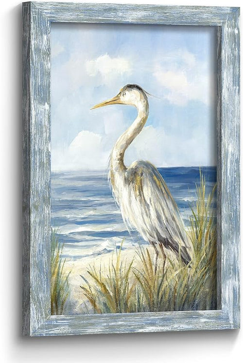Framed Coastal Seabird Wall Art Print