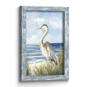 Framed Coastal Seabird Wall Art Print