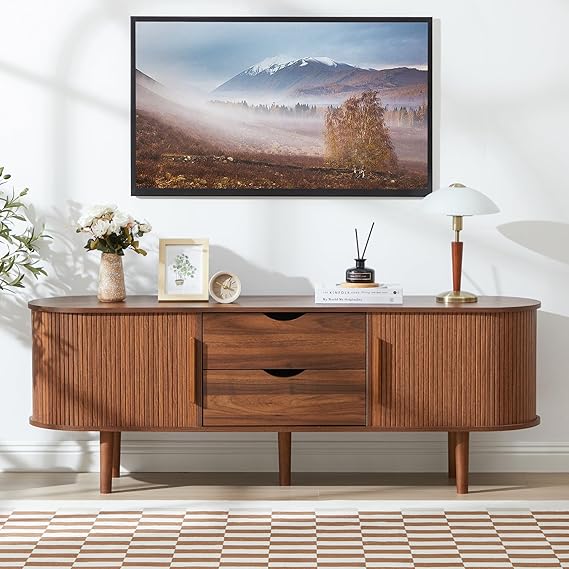 TV Stand with Sliding Door & Storage Compartments
