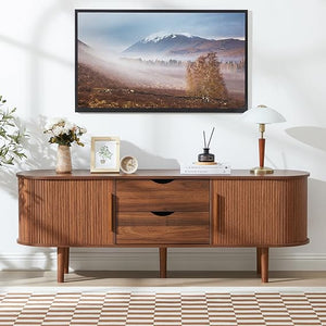 TV Stand with Sliding Door & Storage Compartments