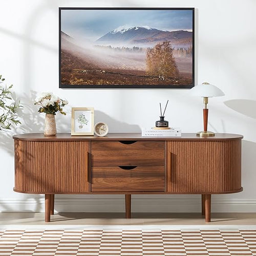 TV Stand with Sliding Door & Storage Compartments