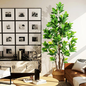 Artificial Rubber Tree 7.2ft Indoor Outdoor Plant