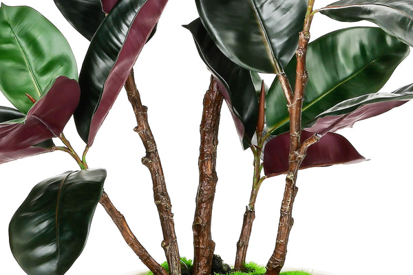 Artificial Rubber Tree with White Pot, 54.5" Tall