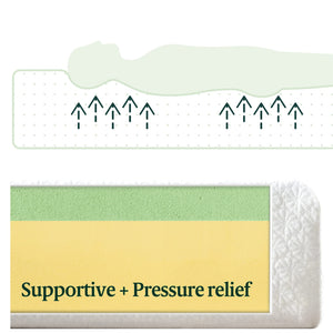 8 Inch Green Tea Memory Foam Mattress