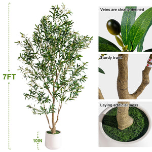 Artificial Olive Tree Indoor with White Pot & Moss