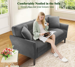 69" Velvet Loveseat Sofa with 2 Pillows | 700lb Capacity | Tool-Free Setup