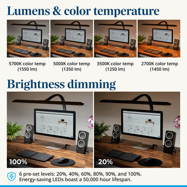 Sliding Flex Clamp LED Desk Lamp