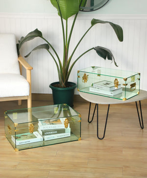 Acrylic Storage Chest Set of 2 with Handles & Hasps