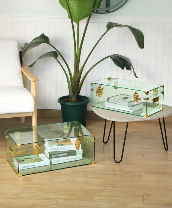 Acrylic Storage Chest Set of 2 with Handles & Hasps