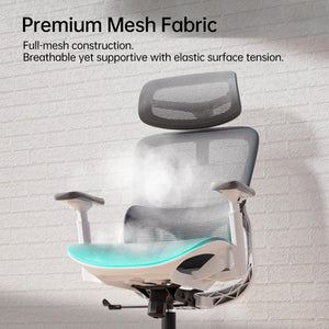 Ergonomic Mesh Office Chair with 3D Lumbar, 360° Armrests & 135° Tilt