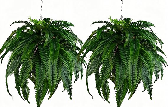 Artificial Hanging Ferns 2 Pack – Large Faux Boston Fern Bushes UV Resistant