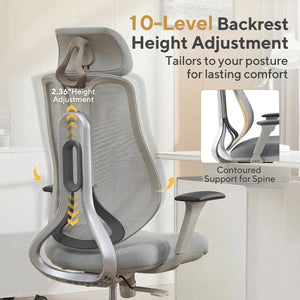 Ergonomic Mesh High-Back Office Chair with 3D Armrests
