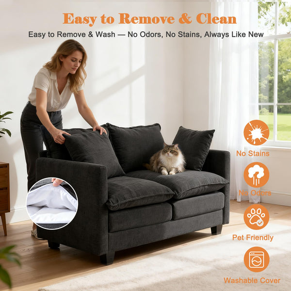 50" Loveseat Sofa with Deep Seat and Pillows