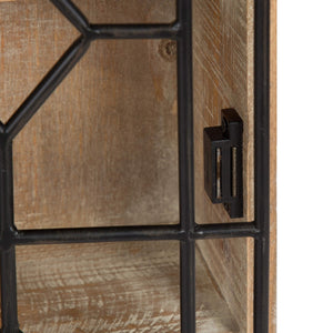 Decorative Wooden Wall Curio Cabinet with Iron Door