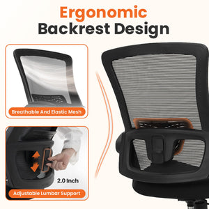 Ergonomic High Back Mesh Office Chair with Lumbar Support & Flip-Up Armrests