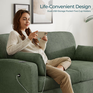Pull Out Sofa Bed Convertible Loveseat Sleeper with Memory Foam - Queen Size
