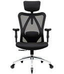 Ergonomic Mesh Office Chair with 4D Lumbar Support