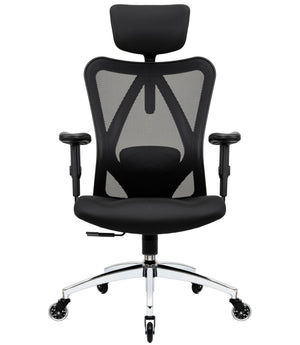 Ergonomic Mesh Office Chair with 4D Lumbar Support