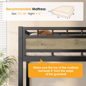 Twin Loft Bed with Stairs & 53.5" Under-Bed Clearance