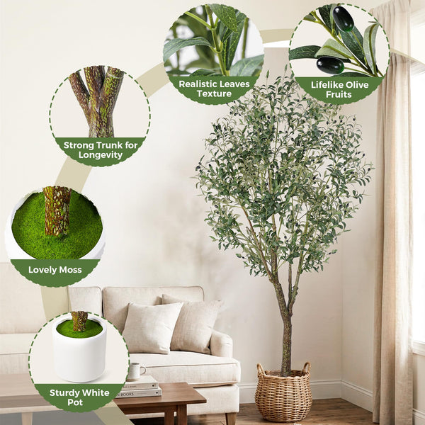 Artificial Olive Tree with White Planter – Indoor Faux Plant