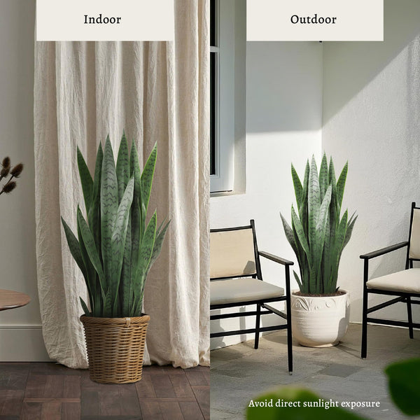 Artificial Snake Plant with Thick PE Leaves – Indoor & Outdoor Faux Sansevieria