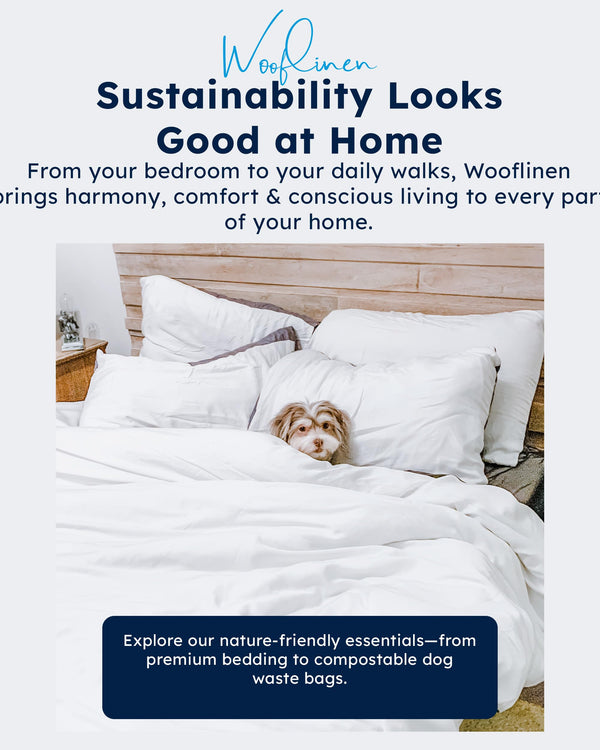 Bamboo Duvet Cover Set – White, Silky Soft, Zipper Closure