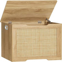 Storage Chest with Safety Hinges