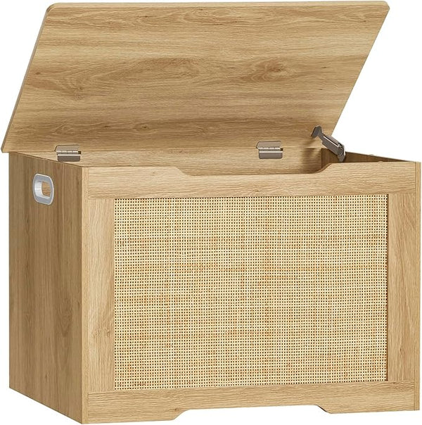 Storage Chest with Safety Hinges
