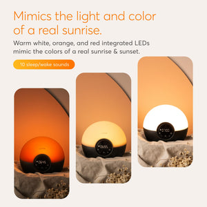 Sunrise Sunset Alarm Clock with Bedside Lamp & Sleep Sounds