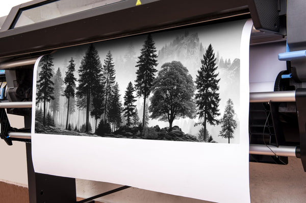 Large Foggy Forest & Mountain Canvas Wall Art