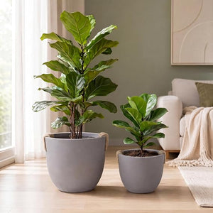 Round Planter Pots Set of 2 — Outdoor & Indoor, MGO, Drainage Hole, 13" & 10"