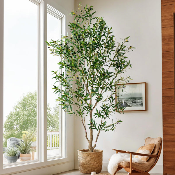 Artificial Olive Tree Indoor with White Pot & Moss